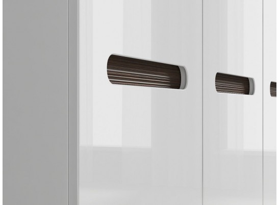 Шкаф в спальню S205-SZF3D/21/18 AZTECA