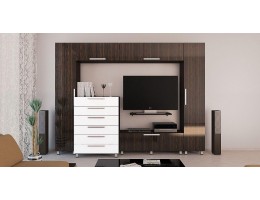 Гостиная Фортуна 3 (белый, зебравуд глянец)