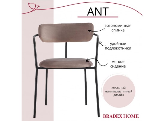 Комплект из 2-х стульев Ant латте в Набережных Челнах Комплект из 2-х стульев Ant латте в Набережных Челнах
