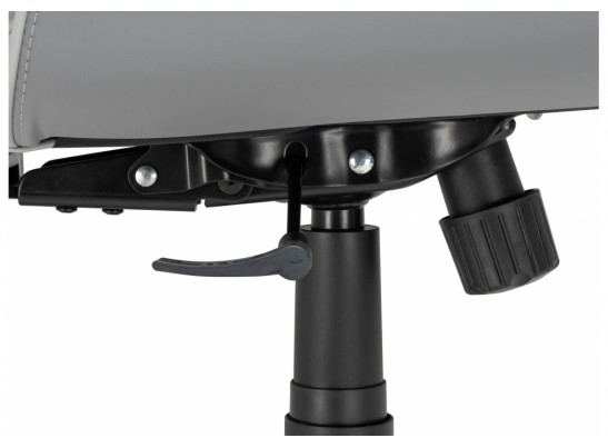 Компьютерное кресло Leo light gray / dark gray в Набережных Челнах