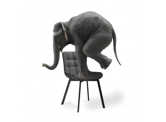 Комплект стульев Стронг 4 шт темно-серый / черный в Набережных Челнах