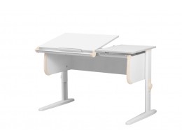 Детская растущая парта с 5 лет, размер 75(+43)x55x53(до 81.5) СУТ.25