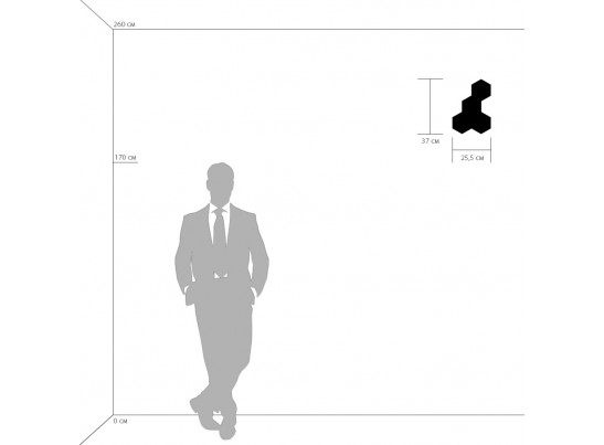 Светильник настенный Favo Lightstar 750644 в Набережных Челнах