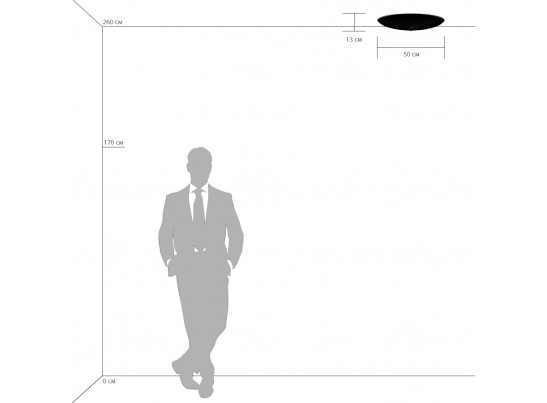 Плафон потолочный Zucche Lightstar 820840 в Набережных Челнах