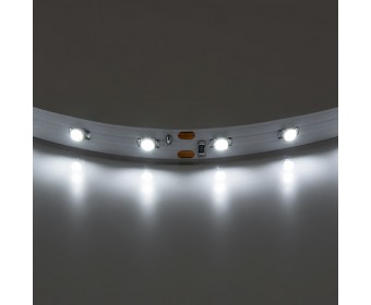 Лента белого свечения  Lightstar 400004