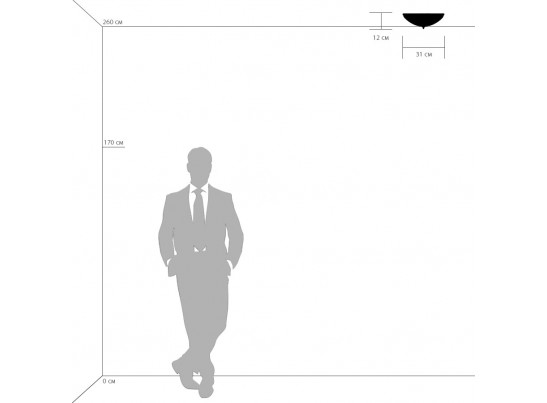 Плафон потолочный Zucche Lightstar 820234 в Набережных Челнах