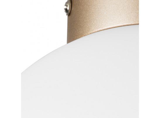 Плафон потолочный Globo Lightstar 812023 в Набережных Челнах