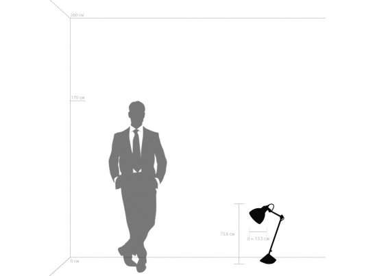 Настольная лампа Loft Lightstar 865917 в Набережных Челнах