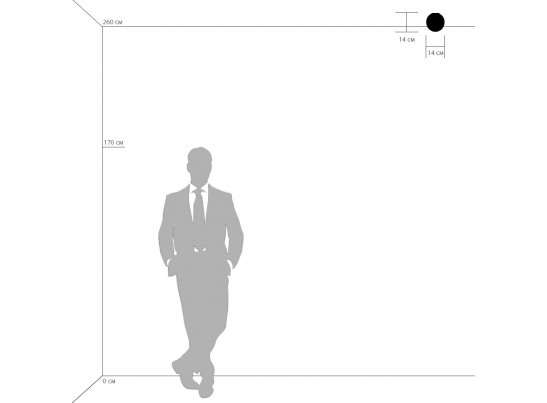 Плафон потолочный Globo Lightstar 803010 в Набережных Челнах