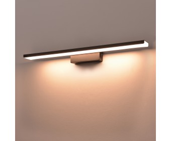 Светильник настенный (Подсветка для картин) Noce Lightstar 201087