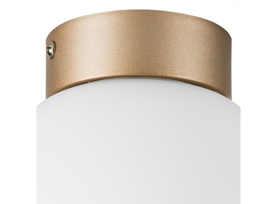 Плафон потолочный Globo Lightstar 812013 в Набережных Челнах