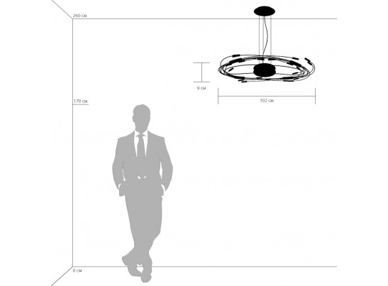 Люстра подвесная Ovale Lightstar 784346 в Набережных Челнах