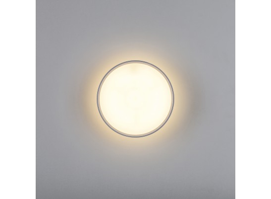 Светильник накладной Acuto Lightstar 215936 в Набережных Челнах