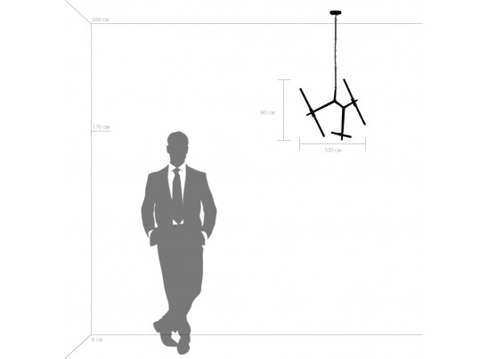 Люстра подвесная Struttura Lightstar 742066 в Набережных Челнах
