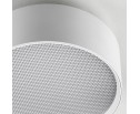 Светильник накладной Acuto Lightstar 215946 в Набережных Челнах