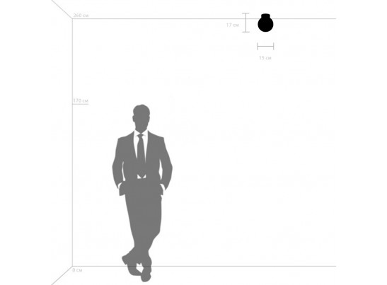 Плафон потолочный Globo Lightstar 812017 в Набережных Челнах