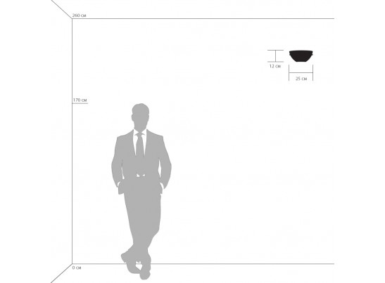 Бра Agola Lightstar 810823 в Набережных Челнах