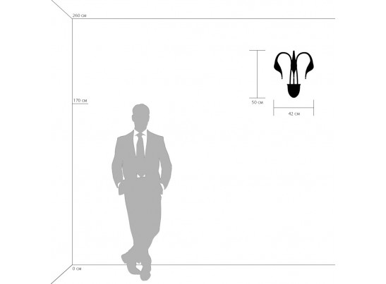 Бра Cigno Collo Lightstar 751636 в Набережных Челнах