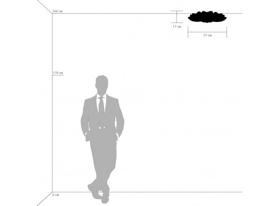 Плафон потолочный Lobo Lightstar 804020 в Набережных Челнах