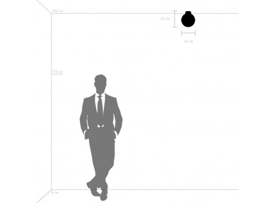 Плафон потолочный Globo Lightstar 812111 в Набережных Челнах