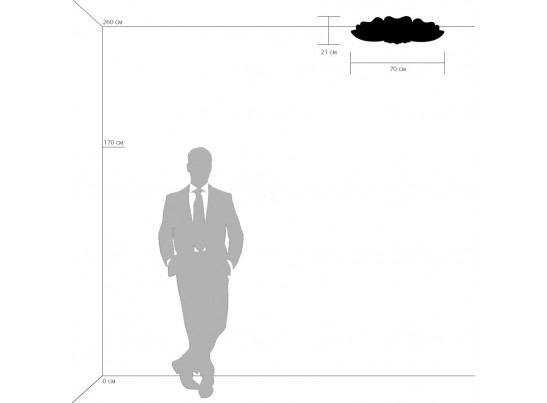 Плафон потолочный Lobo Lightstar 804040 в Набережных Челнах