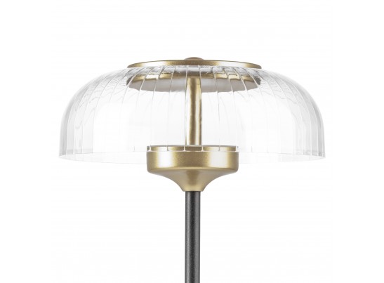 Настольная лампа Acrile Lightstar 738973 в Набережных Челнах