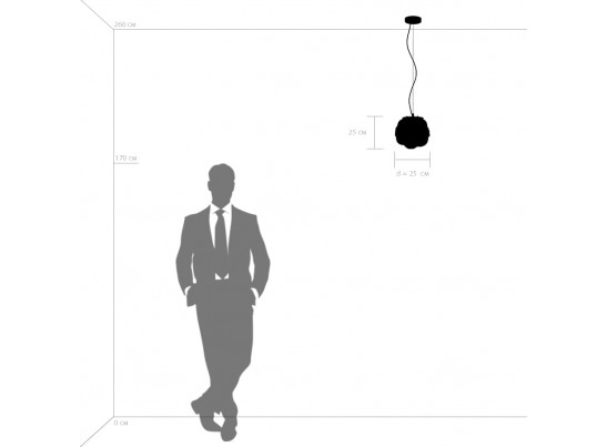 Подвес Erbareo Lightstar 799010 в Набережных Челнах